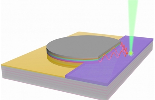 The latest research results of organic photodetectors