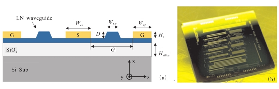 薄膜铌酸锂调制器的波导和电极结构图