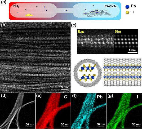 碳纳米管内嵌异质结的光电应用研究取得进展图