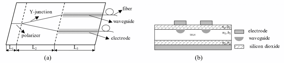 （a）TFLN 相位调制器结构示意图，（b）TFLN 相位调制器波导截面结构图