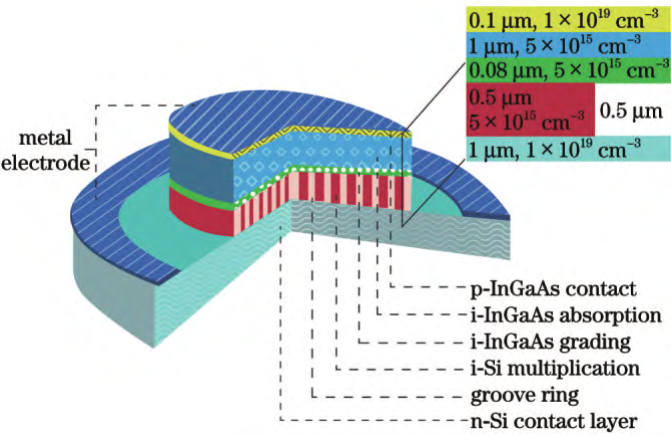 无电荷层 InGaAs/Si APD 的三维结构图