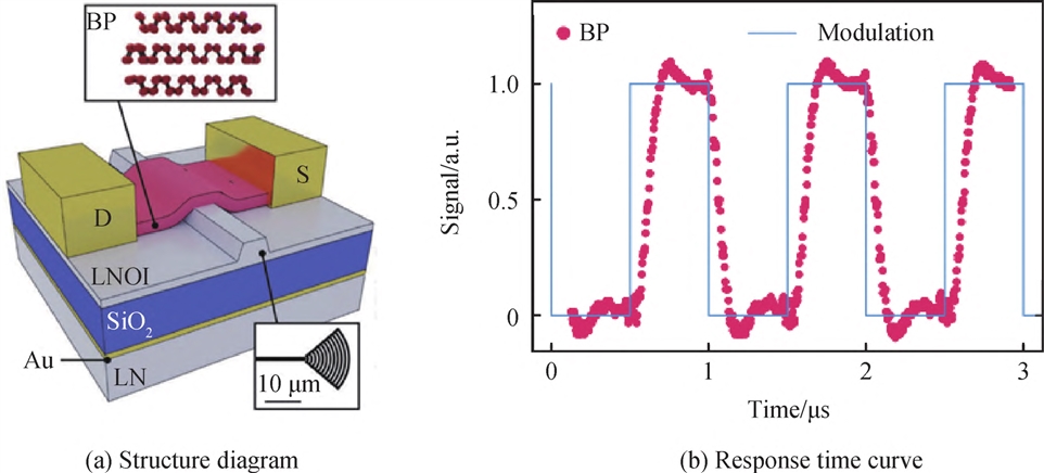 ＢＰ／ＬｉＮｂＯ３ 波导集成光电探测器图