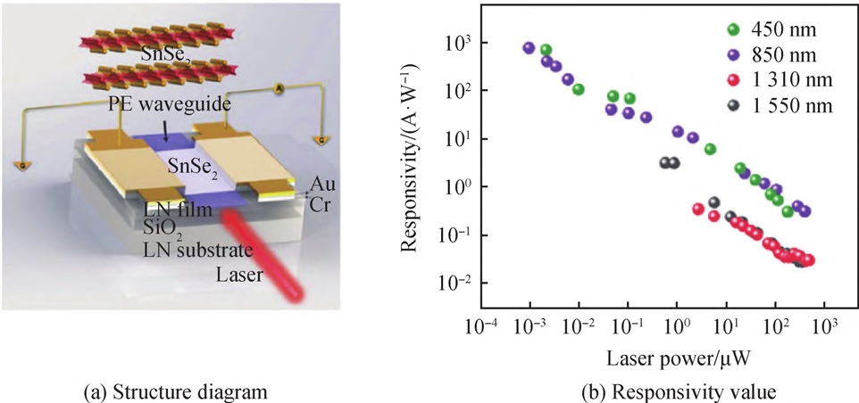 ＳｎＳｅ２／ＬｉＮｂＯ３ 波导集成光电探测器图