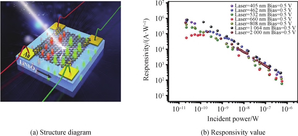 Ｇｒａｐｈｅｎｅ／ＬｉＮｂＯ３ 高响应宽波段光电探测器