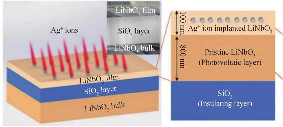 Ａｇ＋／ＬｉＮｂＯ３ 自供电光电探测器图