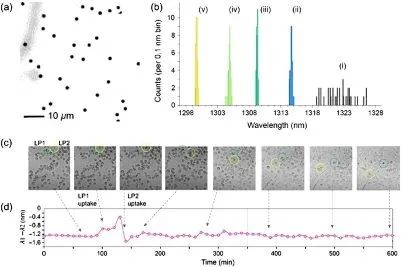 An American Team Proposes A New Method For Tuning Microdisk Lasers