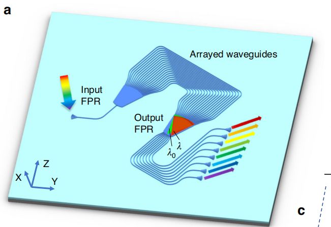 Light-Science & Applications图