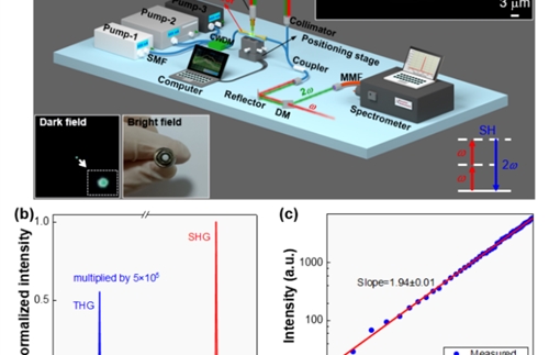 Excitation Of Second Harmonics In A Wide Spectrum