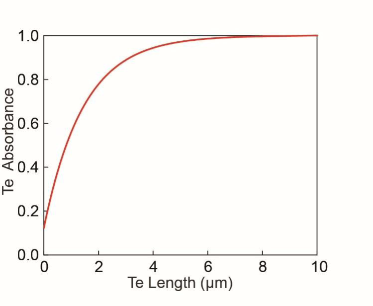 Lnoi-tePD随Te长度的模拟光吸收图