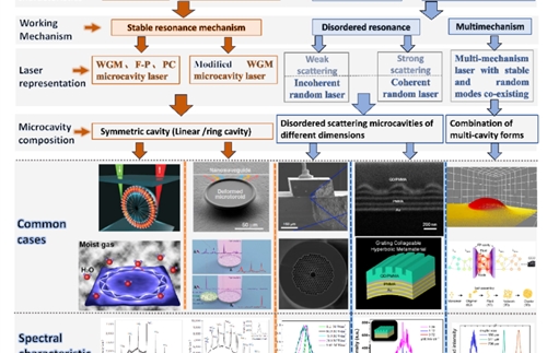 Microcavity complex lasers