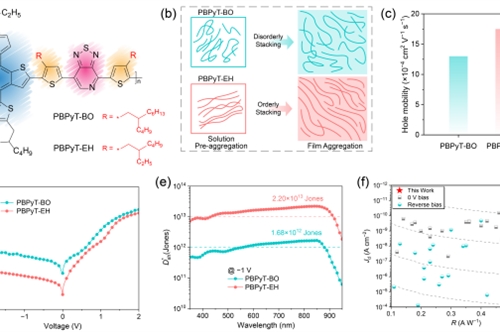 近红外有机光电探测器研究取得进展